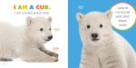 Starting Out: Baby Polar Bears by The Creative Company Shop Online Hot Sale