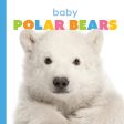 Starting Out: Baby Polar Bears by The Creative Company Shop Online Hot Sale