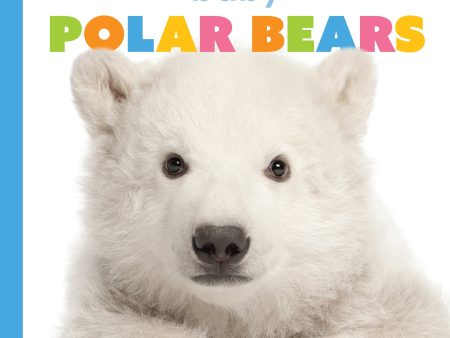 Starting Out: Baby Polar Bears by The Creative Company Shop Online Hot Sale