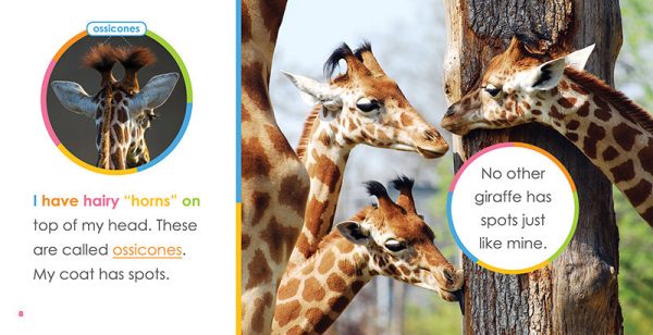 Starting Out: Baby Giraffes by The Creative Company Shop Online now