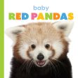 Starting Out: Baby Red Pandas by The Creative Company Shop Hot on Sale