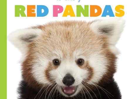 Starting Out: Baby Red Pandas by The Creative Company Shop Hot on Sale