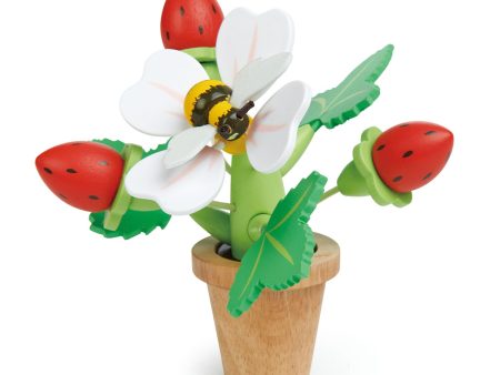 Tender Leaf Toys Strawberry Flower Pot on Sale