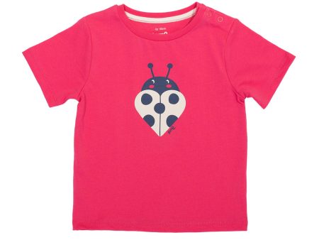 Kite Love Bug T shirt Online now