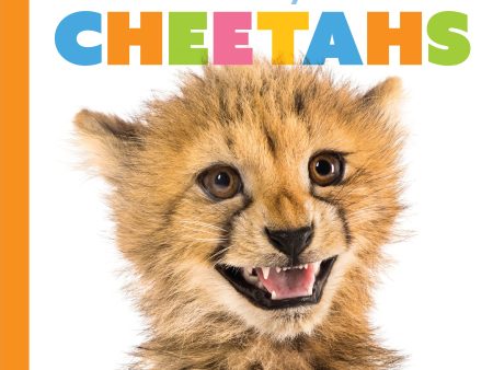 Starting Out: Baby Cheetahs by The Creative Company Shop Discount