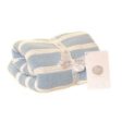 Baby Blanket Blue Stripes For Discount