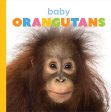 Starting Out: Baby Orangutans by The Creative Company Shop Online Sale