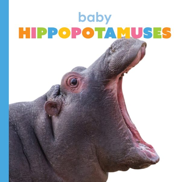 Starting Out: Baby Hippopotamuses by The Creative Company Shop Sale