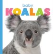 Starting Out: Baby Koalas by The Creative Company Shop Fashion