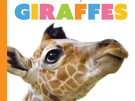 Starting Out: Baby Giraffes by The Creative Company Shop Online now