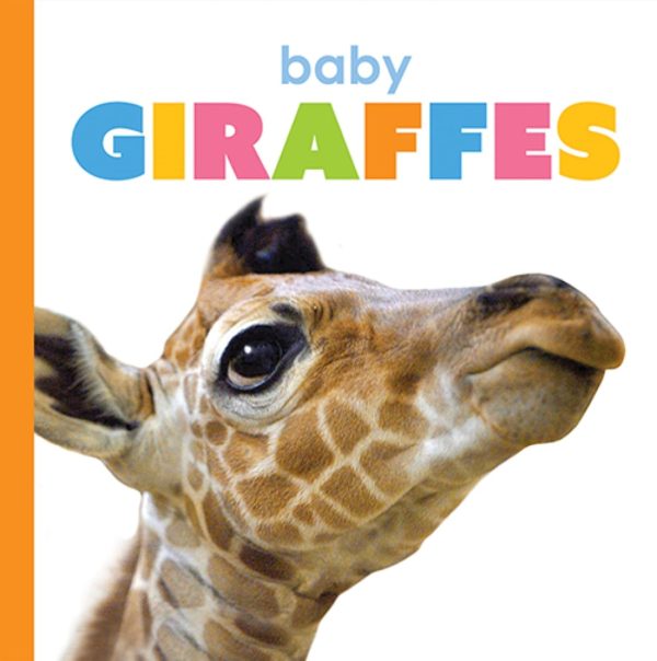 Starting Out: Baby Giraffes by The Creative Company Shop Online now