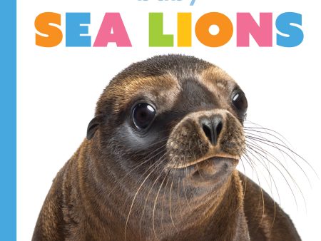 Starting Out: Baby Sea Lions by The Creative Company Shop For Discount