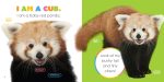 Starting Out: Baby Red Pandas by The Creative Company Shop Hot on Sale