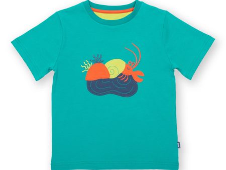 Kite Rock Pool T-Shirt Fashion