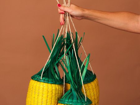 La Piña Woven Bag Sale