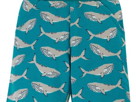 Frugi Switch Samson Printed Shorts Camper Whales on Sale