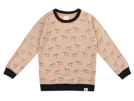 Turtledove Zebra Sweatshirt For Sale